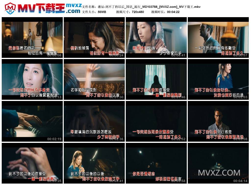 潘辰-到不了的以后_国语_流行_MD103788